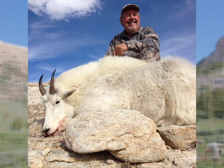 Nevada Rocky Mountain Goat Hunts with Nevada High Desert Outfitters