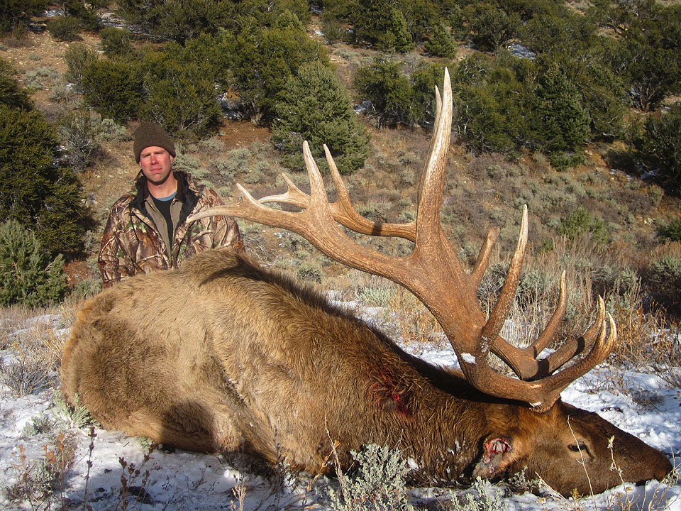 Nevada Pronghorn Antelope Hunts with Nevada High Desert Outfitters